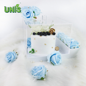 Decorative Dustproof Acrylic Cake Storage Display Box with Cover